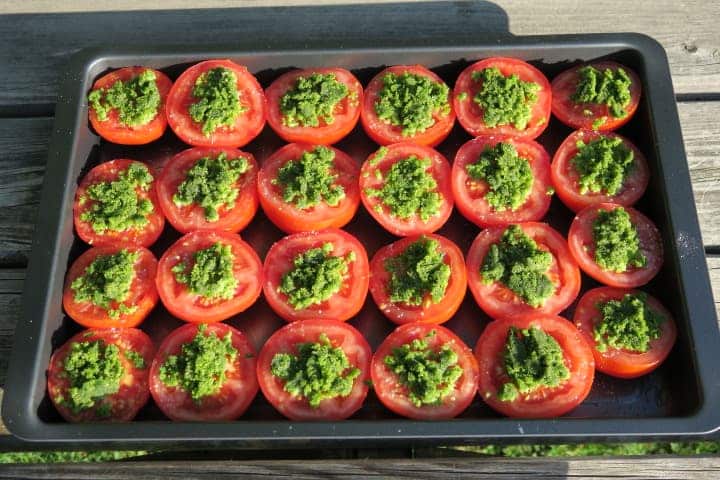 Tomates à la provençales prêtes à être enfournée