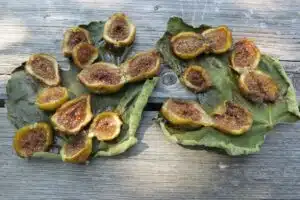 Figues séchées sur feuille de figuier