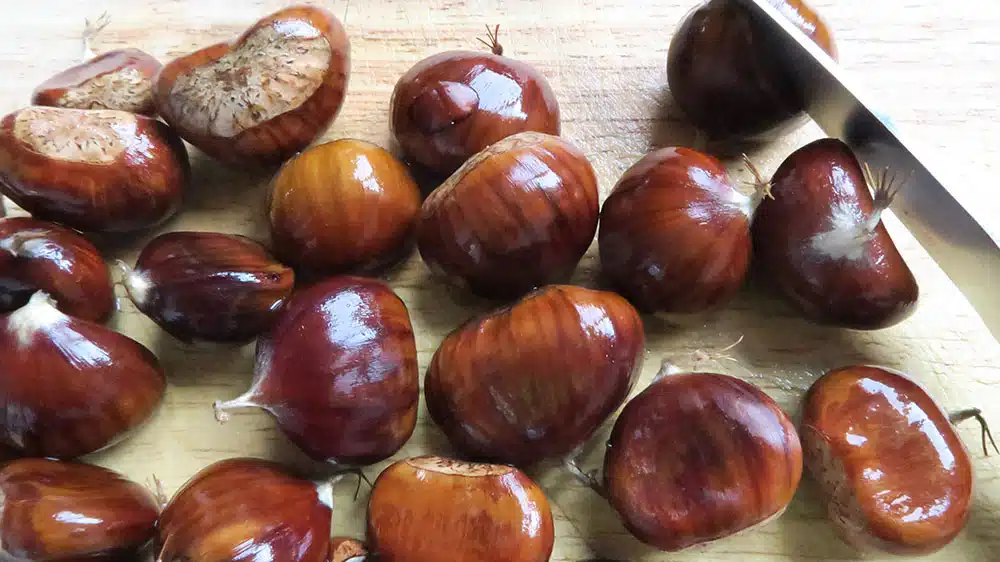 Châtaignes crues sur une planche en bois, avec la lame du couteau qui sert à les inciser