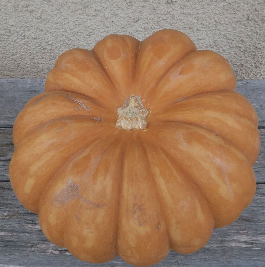 Courge cru entière sur une table en bois