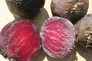Betteraves rouges rôties ouvertes après cuisson au four à bois