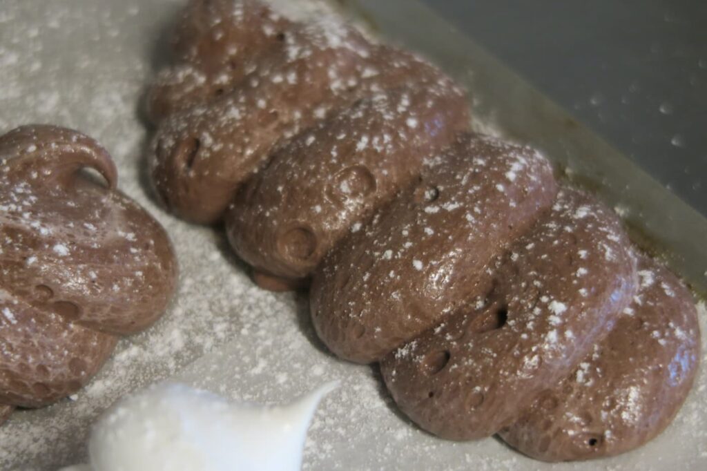 Meringues au chocolat prêtent à être enfourné au four à bois